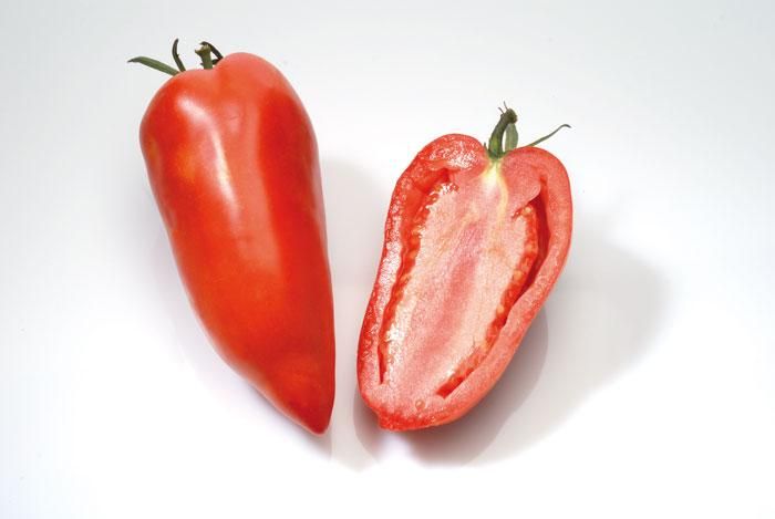 Résultat d’images pour tomate cornue des andes